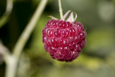 Similar image 11928337