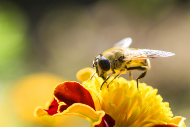 Similar image 11928338