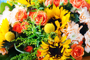 Similar image 11926951