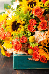 Similar image 11926576