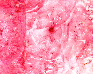 Similar image 11928401