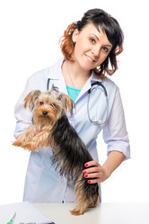 Similar image 11929327