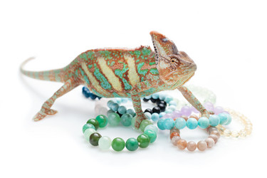 Similar image 11954645