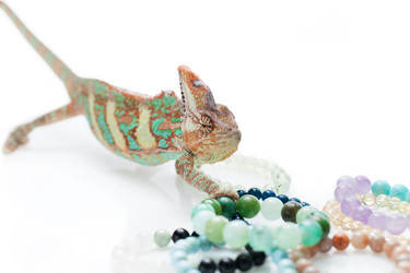 Similar image 11954648