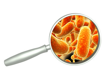 Similar image 11929460