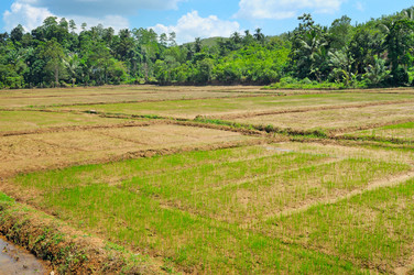 Similar image 11929892