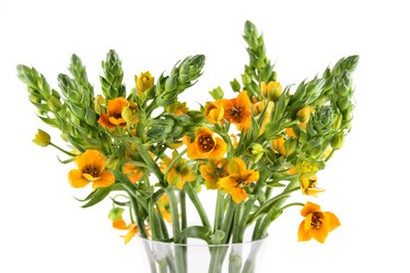 Similar image 11925511