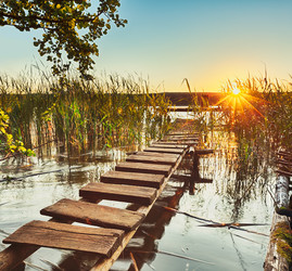 Similar image 11925612