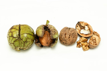 Similar image 11925714