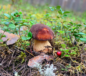 Similar image 11925139