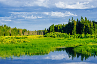 Similar image 11925081