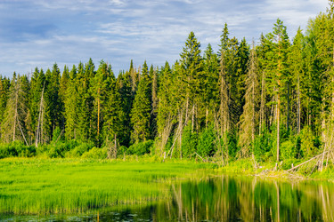 Similar image 11925082