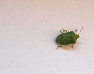 Similar image 11943928