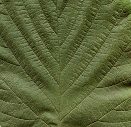 Similar image 11943966