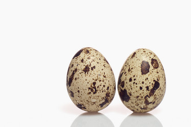 Similar image 11942279