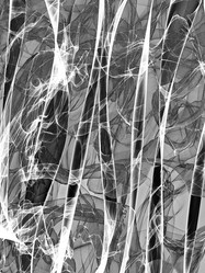 Similar image 11957802