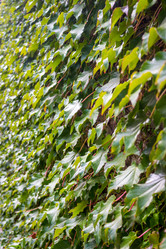 Similar image 11928069