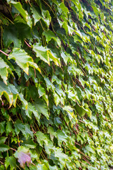 Similar image 11928075