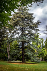 Similar image 11928079