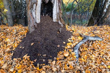 Similar image 11927890