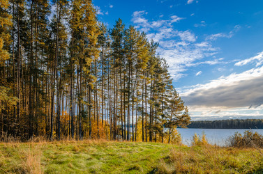 Similar image 11928348