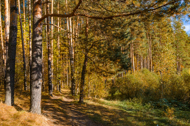 Similar image 11928351