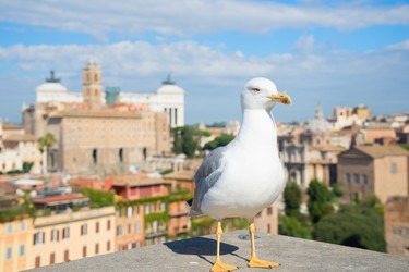 Similar image 11936014