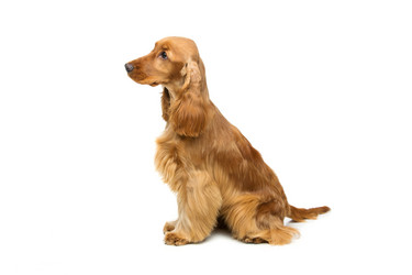 Similar image 11954465