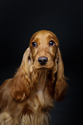 Similar image 11954606