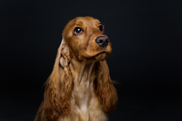 Similar image 11954625