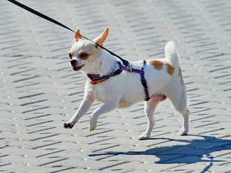 Similar image 11929374