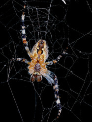 Similar image 11929378