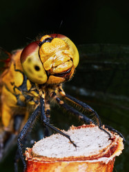 Similar image 11929382