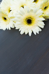 Similar image 11935432