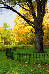 Similar image 11929118