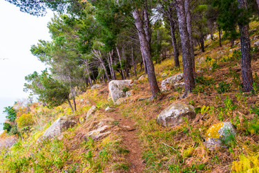 Similar image 11955395