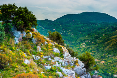 Similar image 11955407