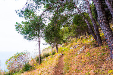 Similar image 11955592