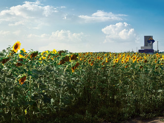 Similar image 11955913