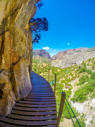 Similar image 11954830