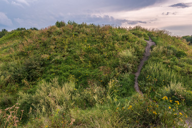 Similar image 11955059