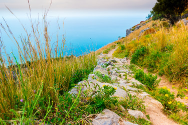 Similar image 11955469