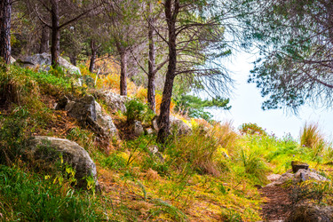 Similar image 11955352