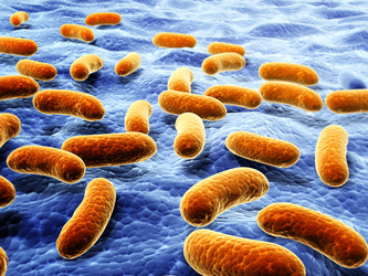 Similar image 11929421