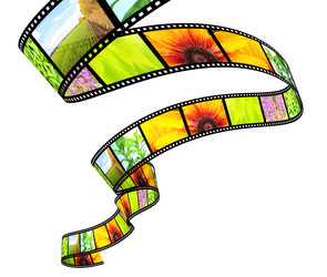 Similar image 11929425