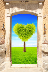 Similar image 11929441