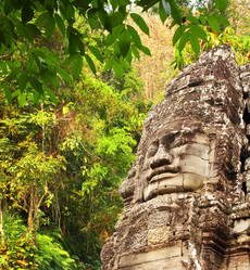 Similar image 11929447