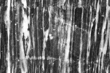 Similar image 11929464