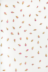 Similar image 11935901