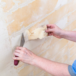 Similar image 11936154